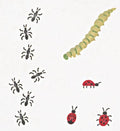 #140 Garden Critters Stencil