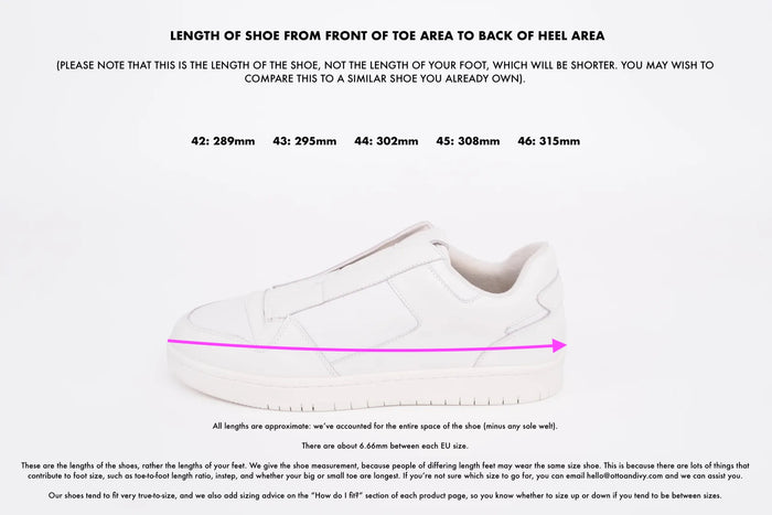 Measurement diagram displaying European sizes  lengths of large  womens shoes in size 42 43 44 45 46