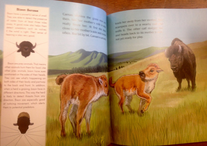 BOOKS - Camas & Sage - A Story of Bison Life on the Prairie