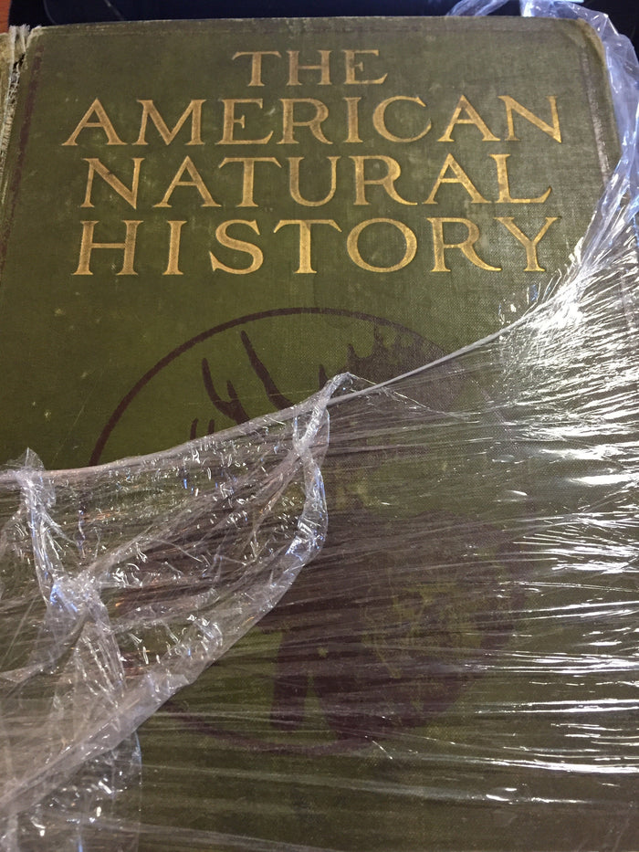 BOOKS - The American Natural History