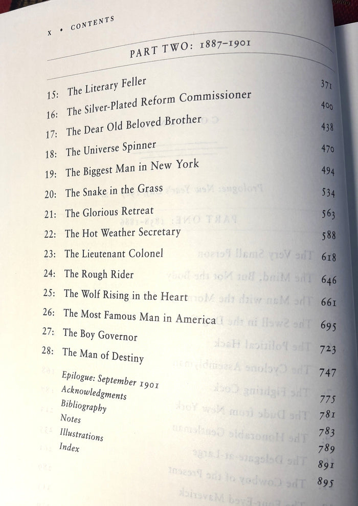 BOOKS - The Rise of Theodore Roosevelt