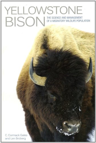 BOOKS - Yellowstone Bison