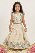 Girls Fancy Lehenga for Birthday and Festive Occasions
