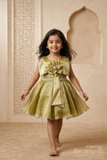 The Nesavu Girls Fancy Party Frock Girls Fancy Party Frock for Birthdays and Special Events Nesavu 16 (1Y) / Yellow / Organza PF289A-16 Nesavu girls glaze organza fancy party frock for birthdays