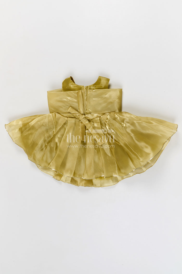 The Nesavu Girls Fancy Party Frock Girls Fancy Party Frock for Birthdays and Special Events Nesavu Nesavu girls glaze organza fancy party frock for birthdays
