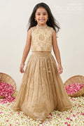 The Nesavu Girls Lehenga Choli Girls Festive Lehenga Outfit for Weddings and Traditional Celebrations Nesavu 16 (1Y) / Beige / Organza GL933B-16 Nesavu Girls Festive Lehenga Outfit With Embroidered Yoke For Weddings And Family Celebrations