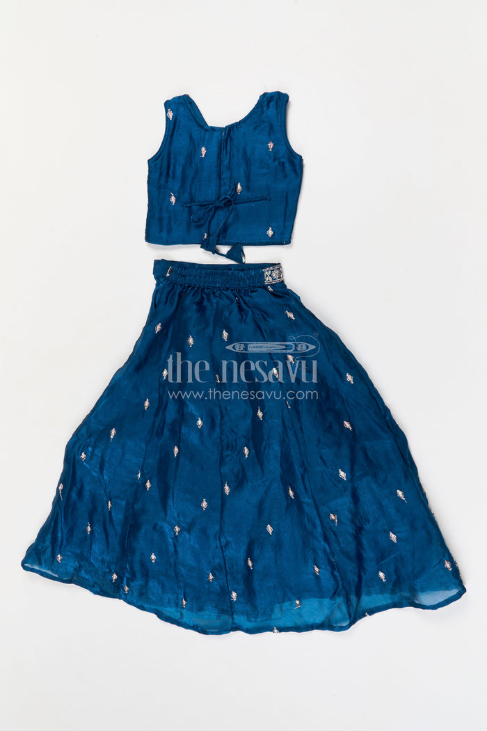The Nesavu Girls Lehenga Choli Girls Lehenga Choli for Weddings Nesavu Nesavu girls silk crepe embroidered lehenga choli for weddings festive celebrations and family occasions
