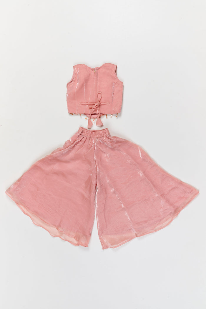 The Nesavu Girls Sharara / Plazo Set Girls Sharara Set with Cut Beads Embroidery for Festive Dressing Nesavu Nesavu girls sharara set in organza with embroidered yoke – perfect for festive occasions and ceremonies