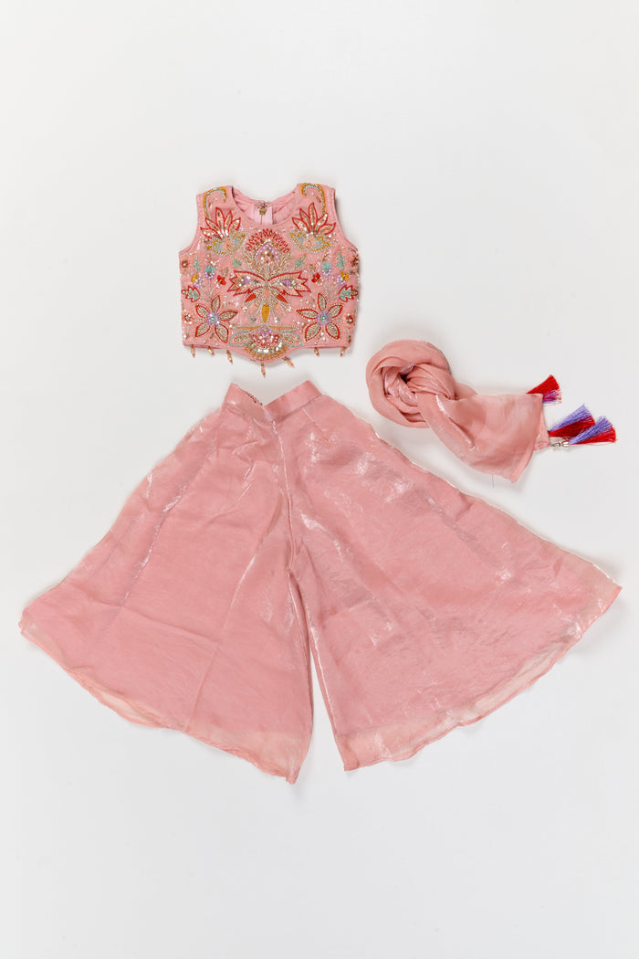 The Nesavu Girls Sharara / Plazo Set Girls Sharara Set with Cut Beads Embroidery for Festive Dressing Nesavu Nesavu girls sharara set in organza with embroidered yoke – perfect for festive occasions and ceremonies
