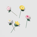 In Full Bloom Mini Toppers