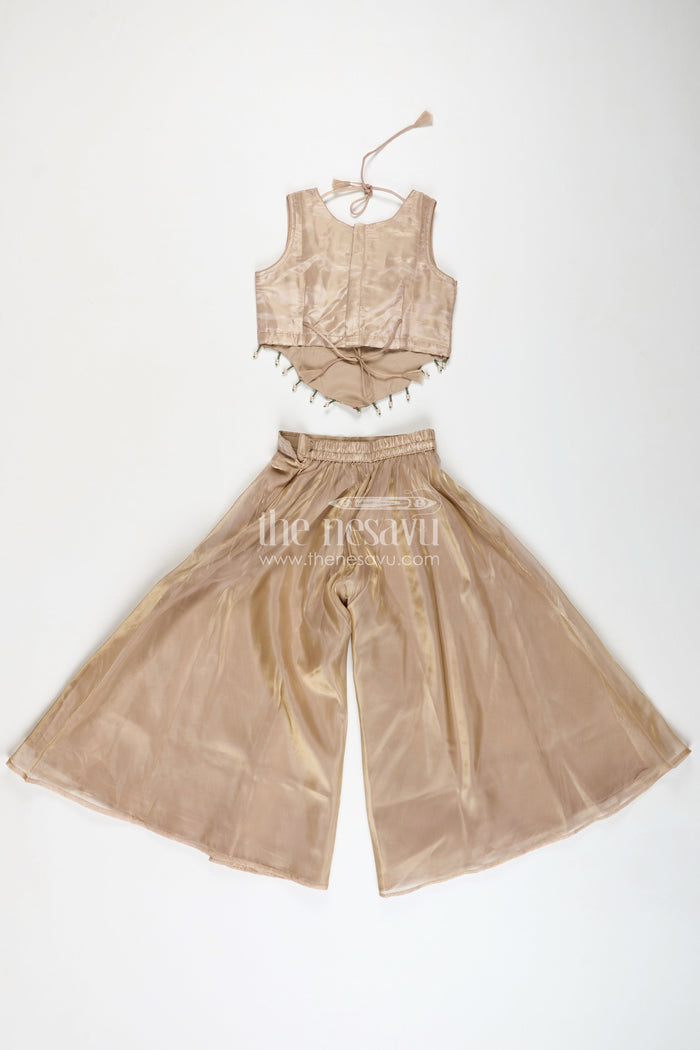 The Nesavu Girls Sharara / Plazo Set Palazzo Set for Girls with Rich Embroidered Crop Top and Sheer Dupatta in Glazed Organza Fabric Nesavu Nesavu Embroidered Palazzo Set Girls Designer Glazed Organza Statement Dupatta