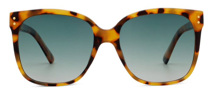 Poolside : Black Sunglasses