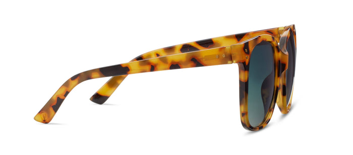 Poolside : Black Sunglasses