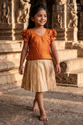 The Nesavu Silk Frock Semi Banarasi Silk Frock for Toddler Girls with Flared Tissue Bottom Nesavu 20 (3Y) / Brown SF1062A-20 Nesavu semi Banarasi silk frock toddler girls tissue flare festive occasions