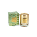 Signature Apothecary Guild Boxed Candle Jar - Siberian Fir - Candles by Carlyle Avenue