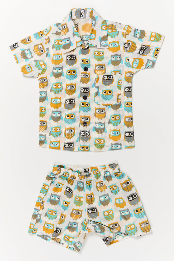 The Nesavu Boys Casual Set Toddler Boys Cotton Set with Owl Print for Everyday Wear Nesavu 16 (1Y) / Multicolor BCS547B-16 Nesavu cotton casual outfit for toddler boys with fun owl print – soft and playful daily wear