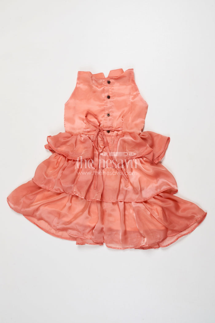 The Nesavu Girls Cotton Frock Toddler Girl Sleeveless Organza Frock for Birthdays and Festive Wear Nesavu Nesavu toddler girl organza frock with ruffles for birthdays and festive occasions