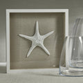 White Framed Starfish - Decorative Accessories by Carlyle Avenue