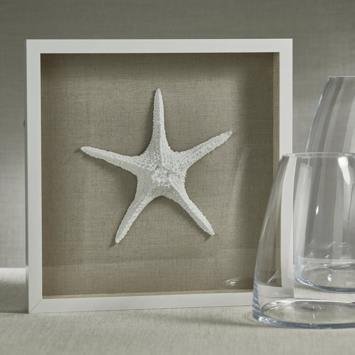 White Framed Starfish - Decorative Accessories by Carlyle Avenue